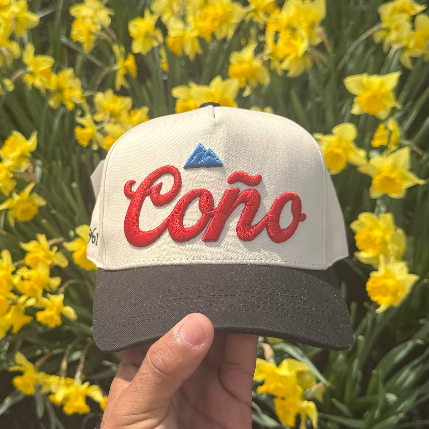 Coño “Blue Mountain”